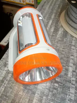 Dual Light Multifunctional Lamp
