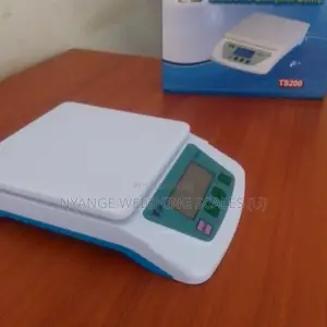 Table Top Weighing Scale 6kg-3kg/0.1g Digital Weighing Scale