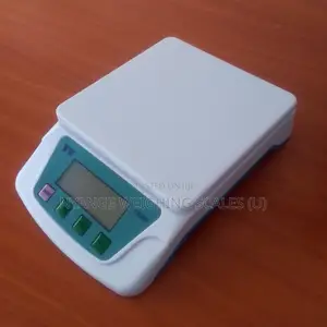 Hot Sale Weigh Scale Digital Portable Weighing Scale 6kg