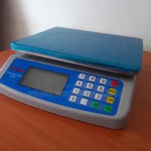 Min Price Computing Weighing Scale Poultry Weighin Scalesal