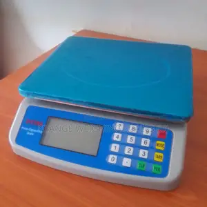Weighing Scales Industrial Weigh Digital Weighing Scale 30kg/5g