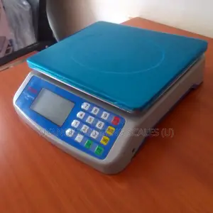 Digital Kitchen Weigh 30kg Weighing Scale Digital Weighing Scale