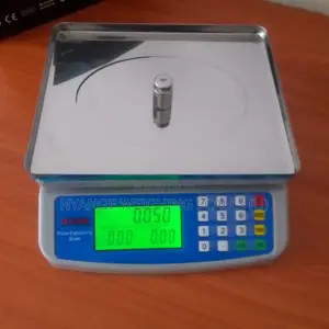 Electronic Weighing Scale 30kg/5g Weigh Digital Weighing Scale
