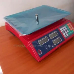 Heavy Duty Weigh 40kg Kitchen Weighing Scale Digital Weighing Scale