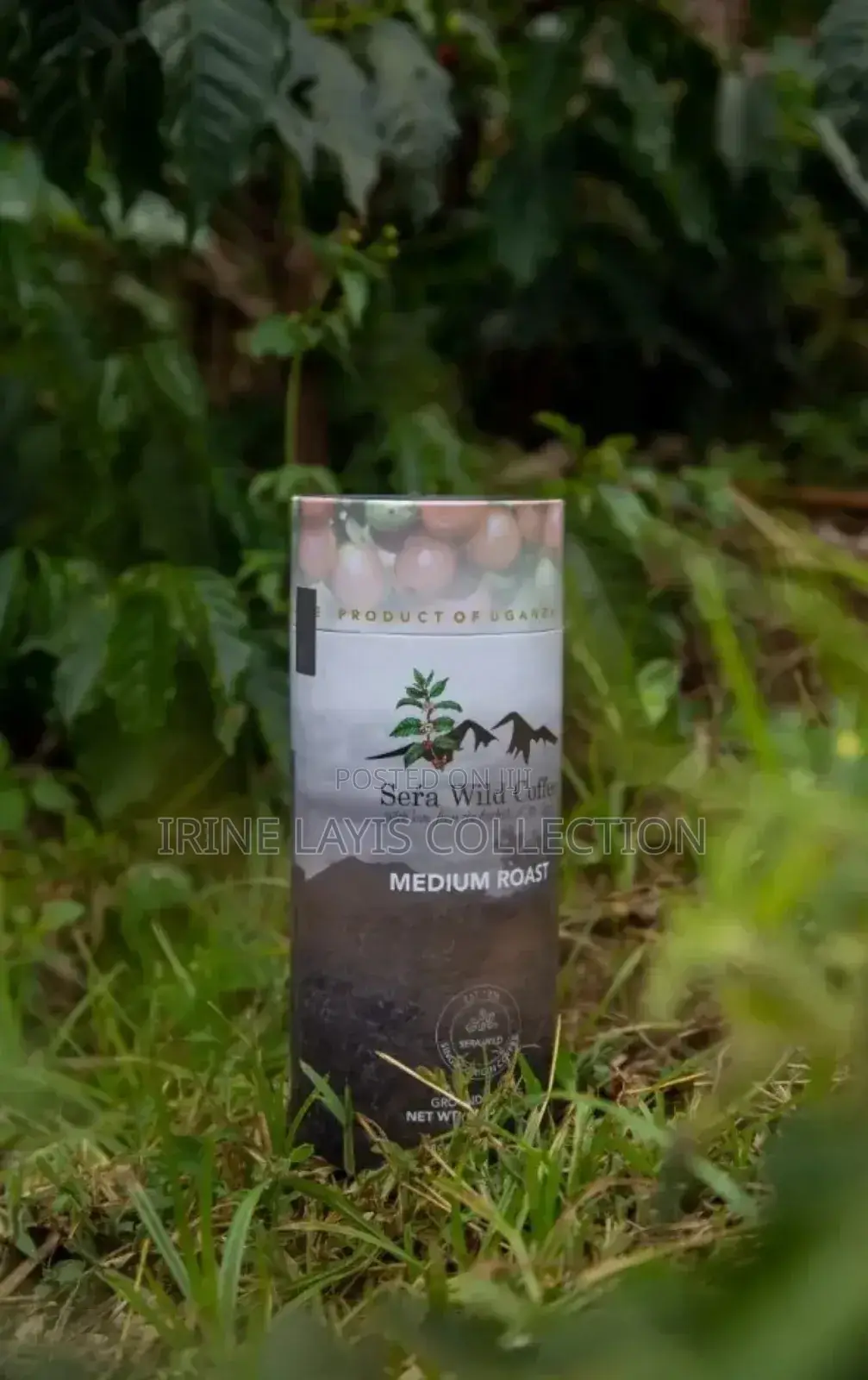 Sera Wild Coffee