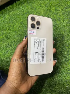 Apple iPhone 12 Pro Max 128 GB Rose Gold