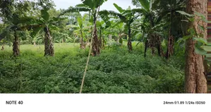 2acres of Land for Sale Seeta Namilyango