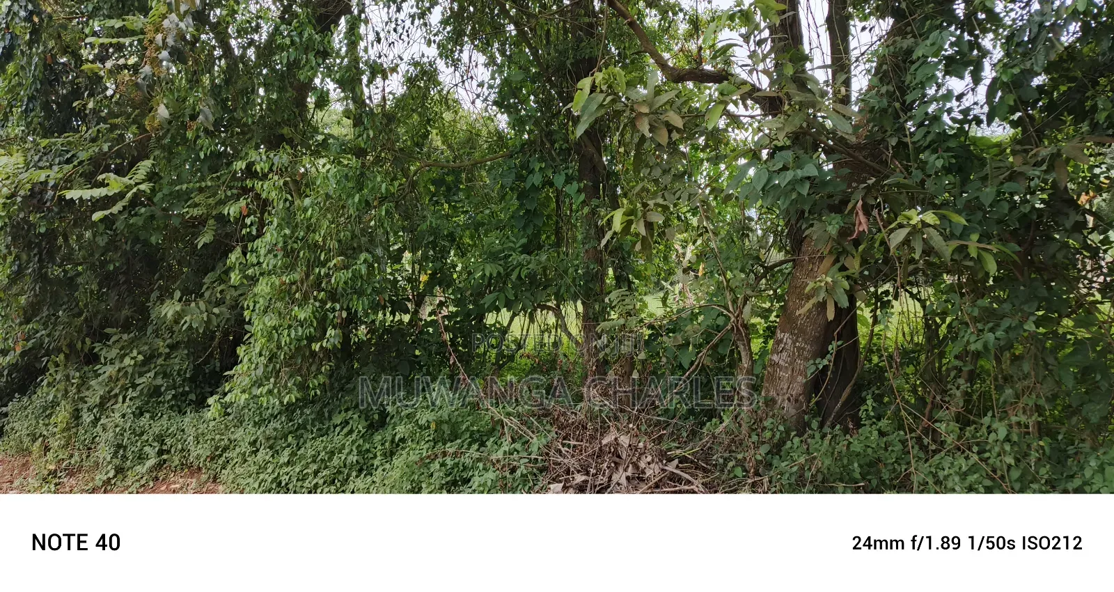 2acres of Land for Sale Seeta Namilyango