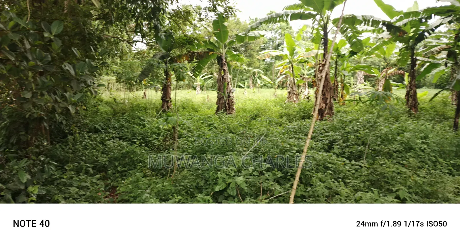 2acres of Land for Sale Seeta Namilyango