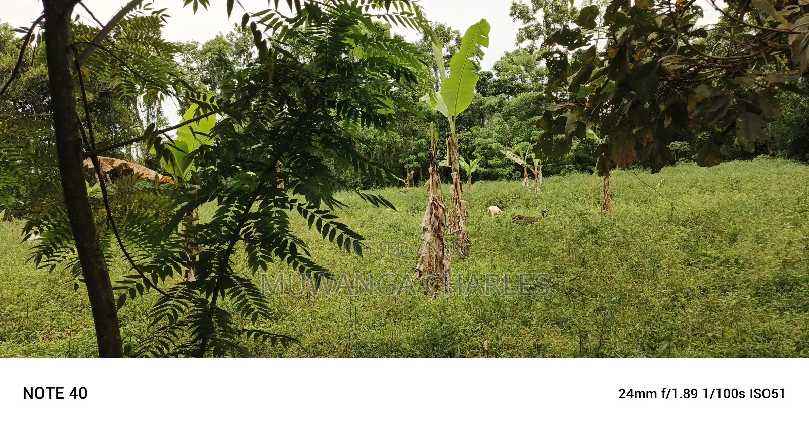 2acres of Land for Sale Seeta Namilyango