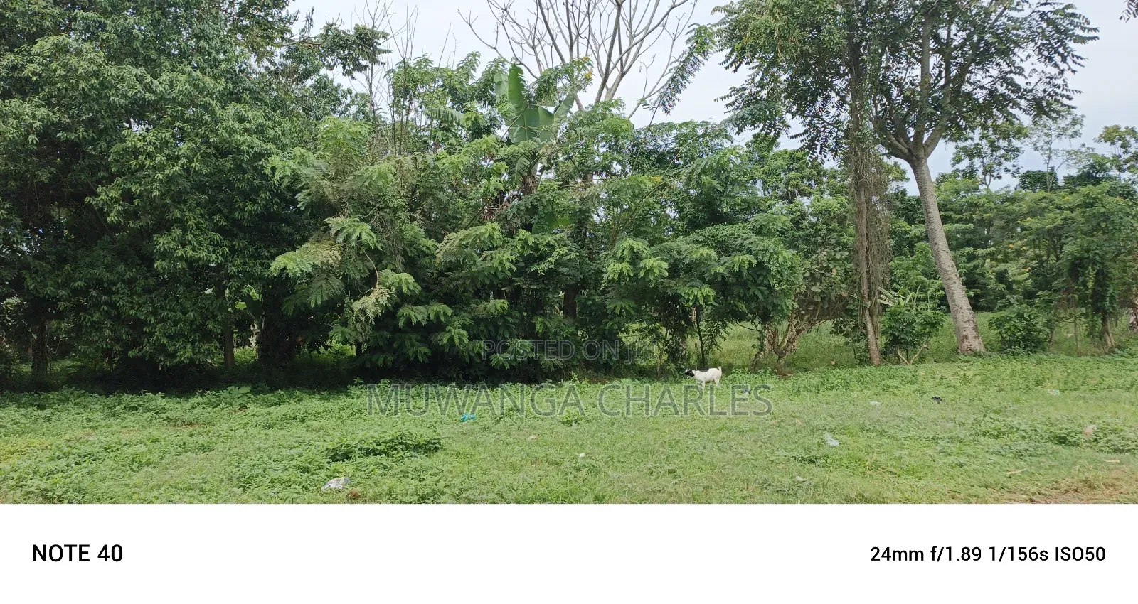 2acres of Land for Sale Seeta Namilyango