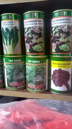 Assorted Seeds