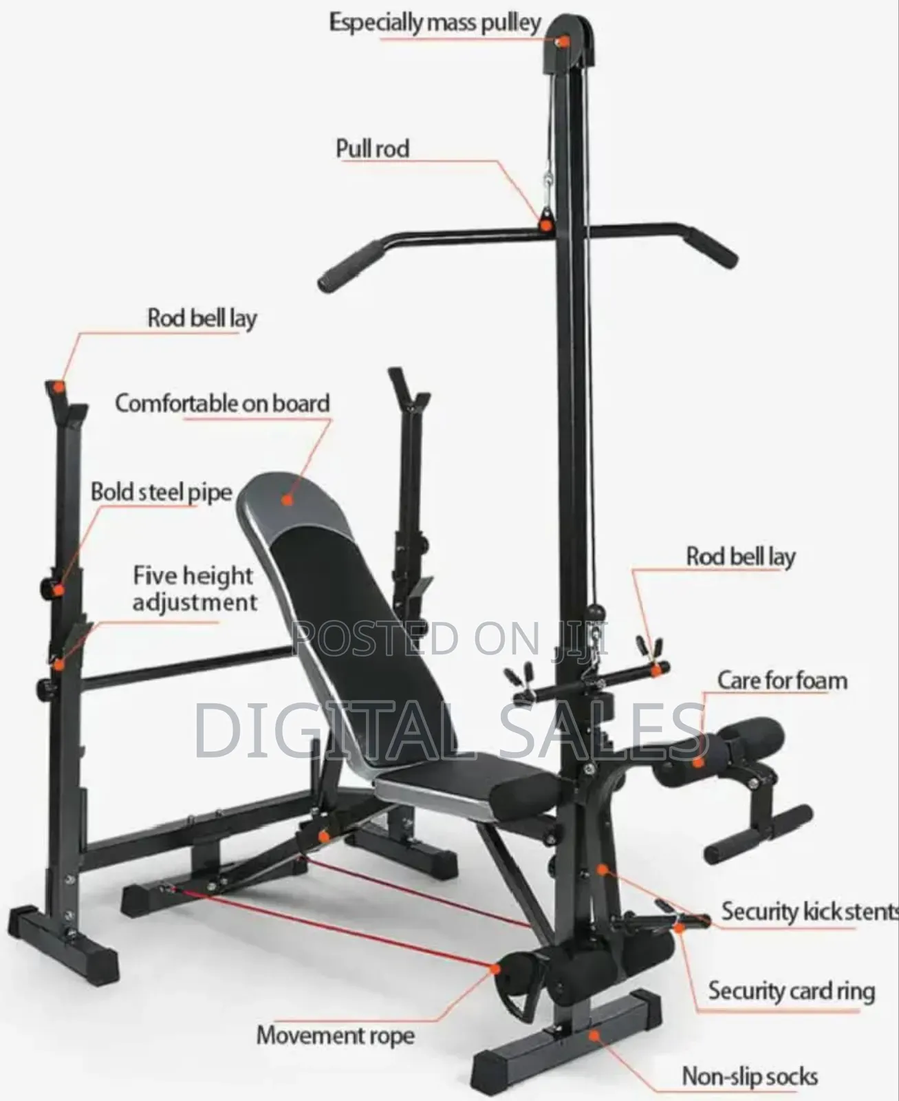 Multifunctional Gym Bench With Lats .