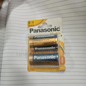 Panasonic D/ 2 Size Alkaline Batteries