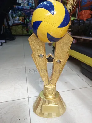 Volleyball Trophy