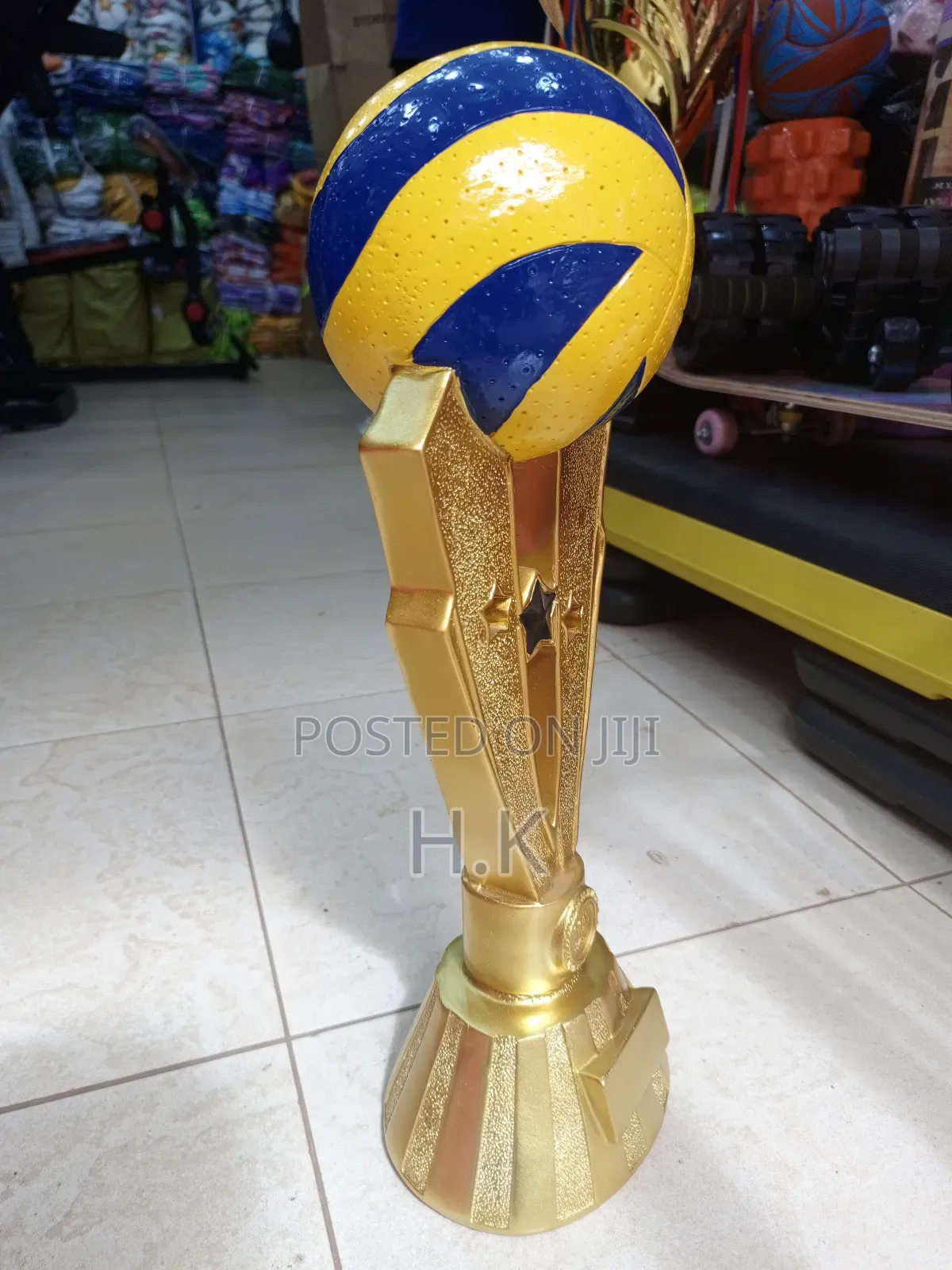 Volleyball Trophy
