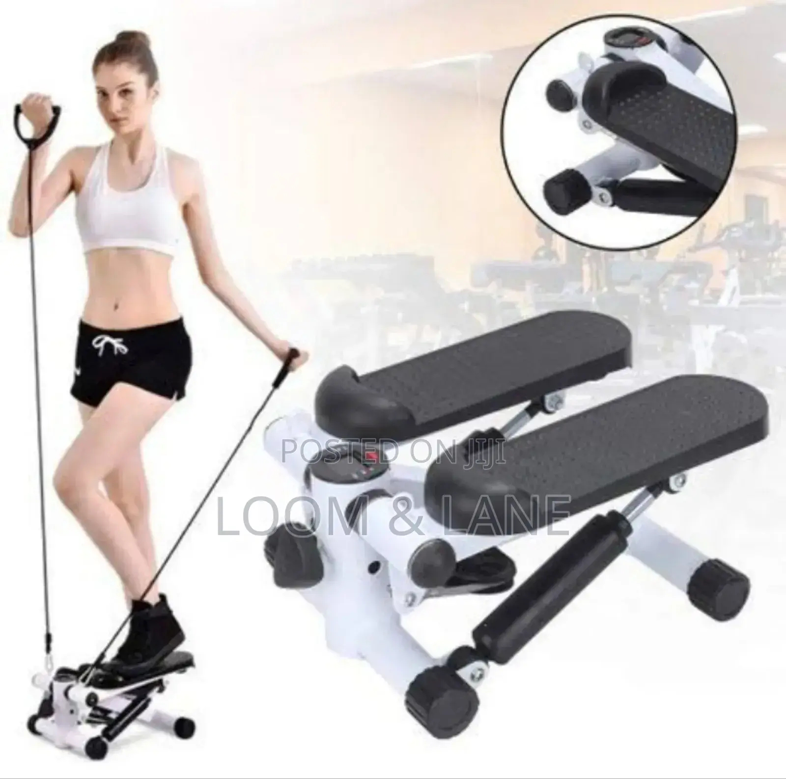 2 in 1 Fitness Swing Stepper With Ropes