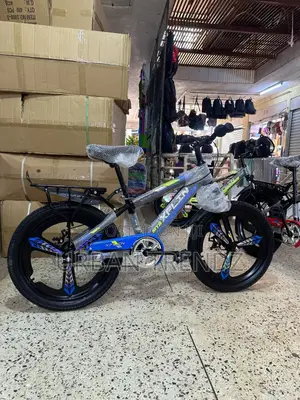 20 Inches Kids Sports Bicycle Suitable for All Ages.