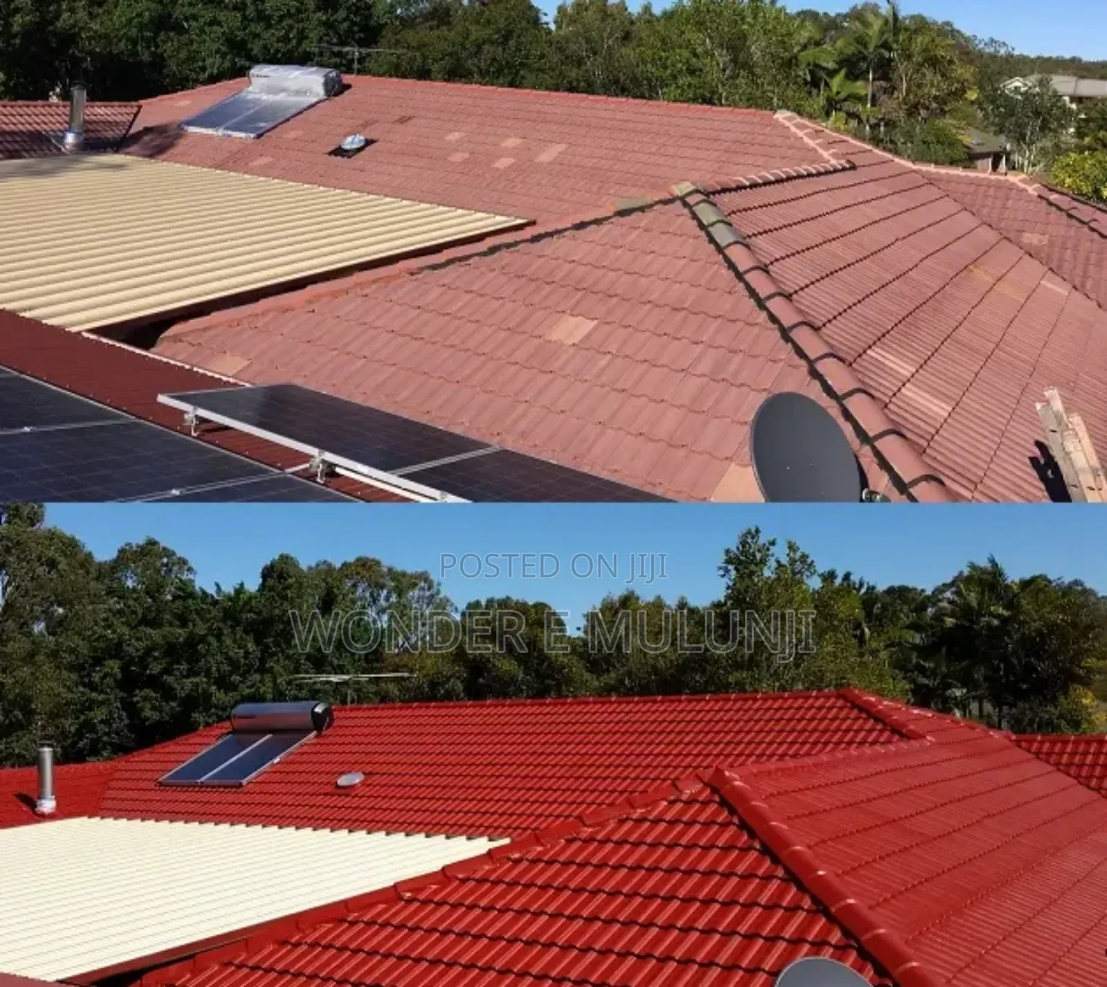 Roof Painting