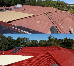 Roof Painting