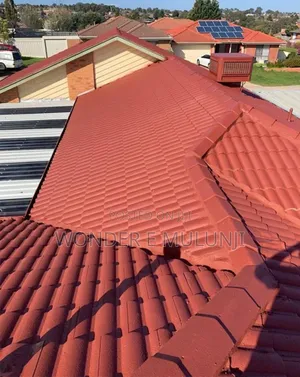 Roof Painting