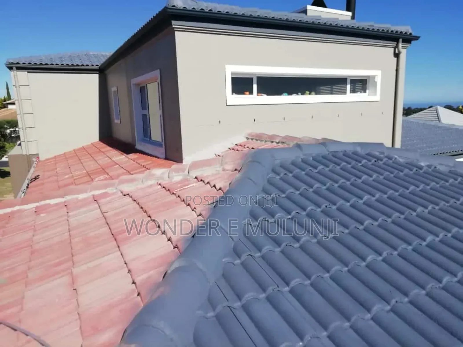 Roof Painting
