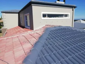 Roof Painting