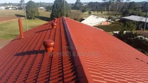 Roof Painting