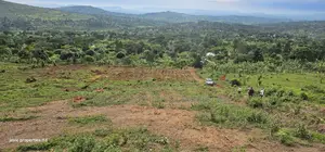 Estate Plots for Sale at Wakiso.-Namayumba