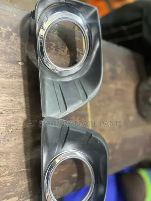 Land Cruiser 150 2010 Fog Lumps Cover
