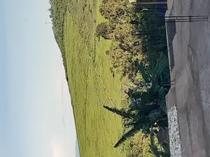 Half Acre on Entebbe Road at 80m Only