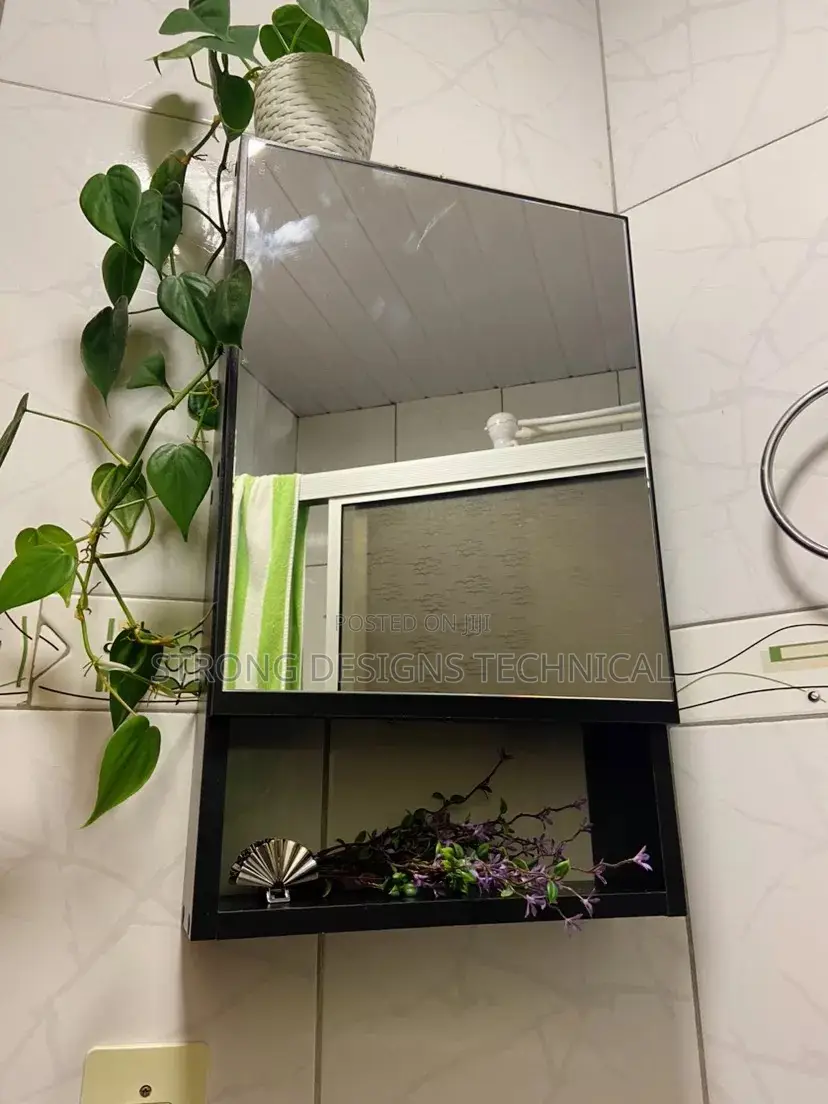 Bathroom/ Medicine Cabinet With Dresser Mirror.