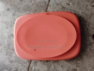 Toddler Heavy Duty Silicone Divided Plate With Suction Foot