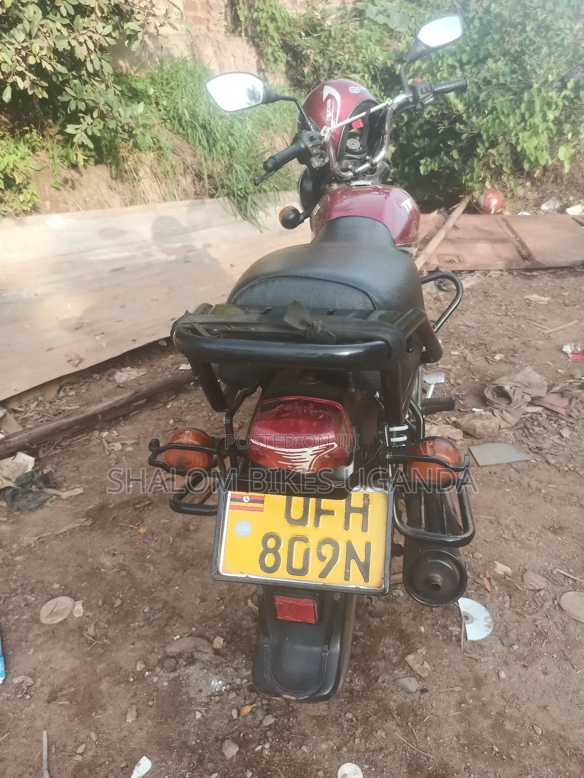 TVS HLX 125 2023 Red