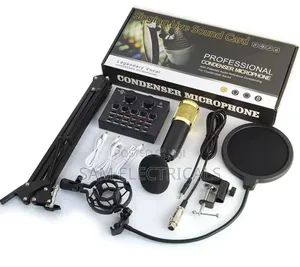 Professional Condenser Studio Microphone