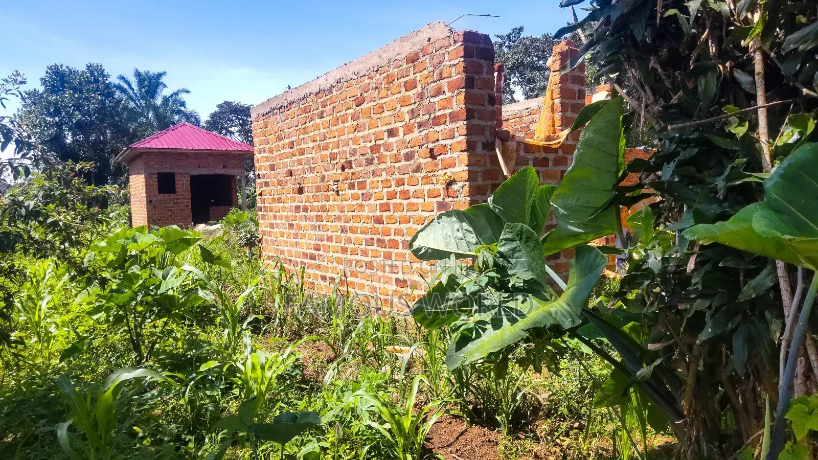 1bdrm Room & Parlour in Nkumba, Katabi for sale