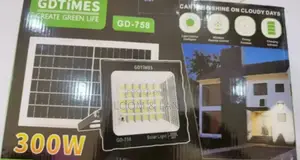 Solar Remote Flood Light (300w)