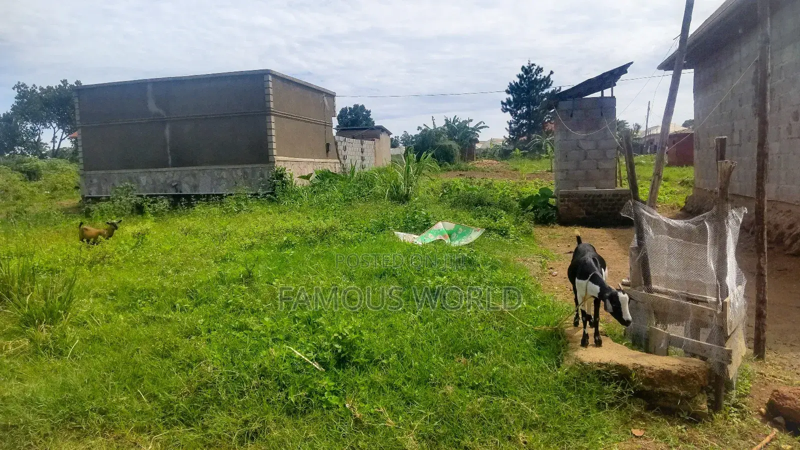 Entebbe Nkumba 50ft by 40ft Plot on Sale