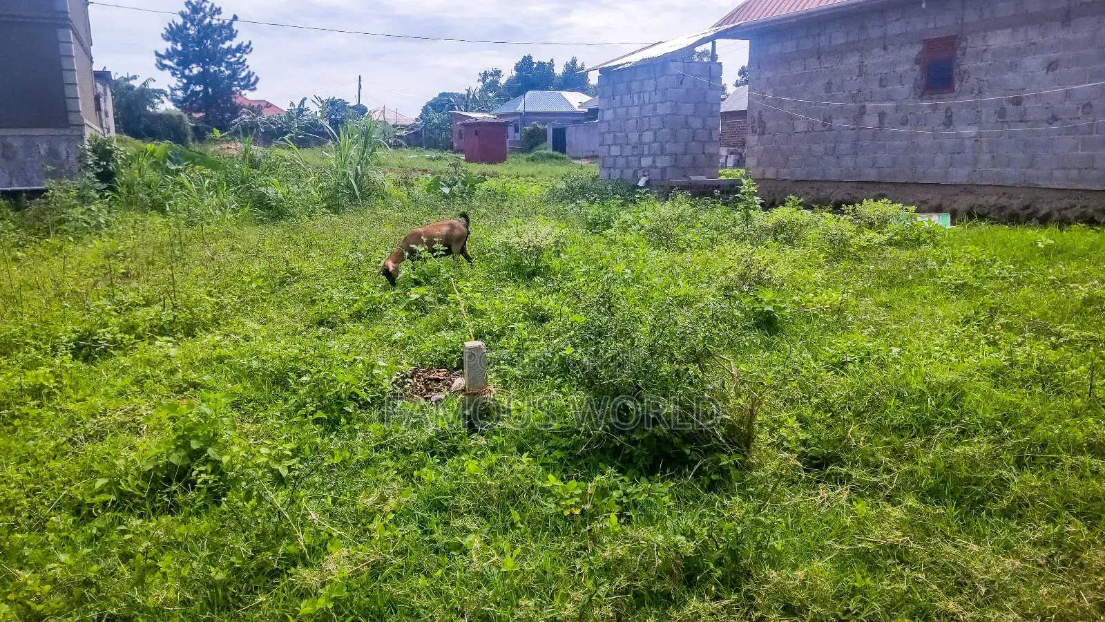 Entebbe Nkumba 50ft by 40ft Plot on Sale