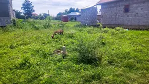 Entebbe Nkumba 50ft by 40ft Plot on Sale