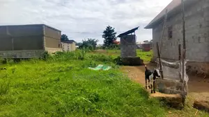 Entebbe Nkumba 50ft by 40ft Plot on Sale