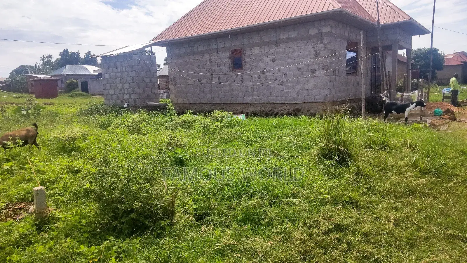 Entebbe Nkumba 50ft by 40ft Plot on Sale