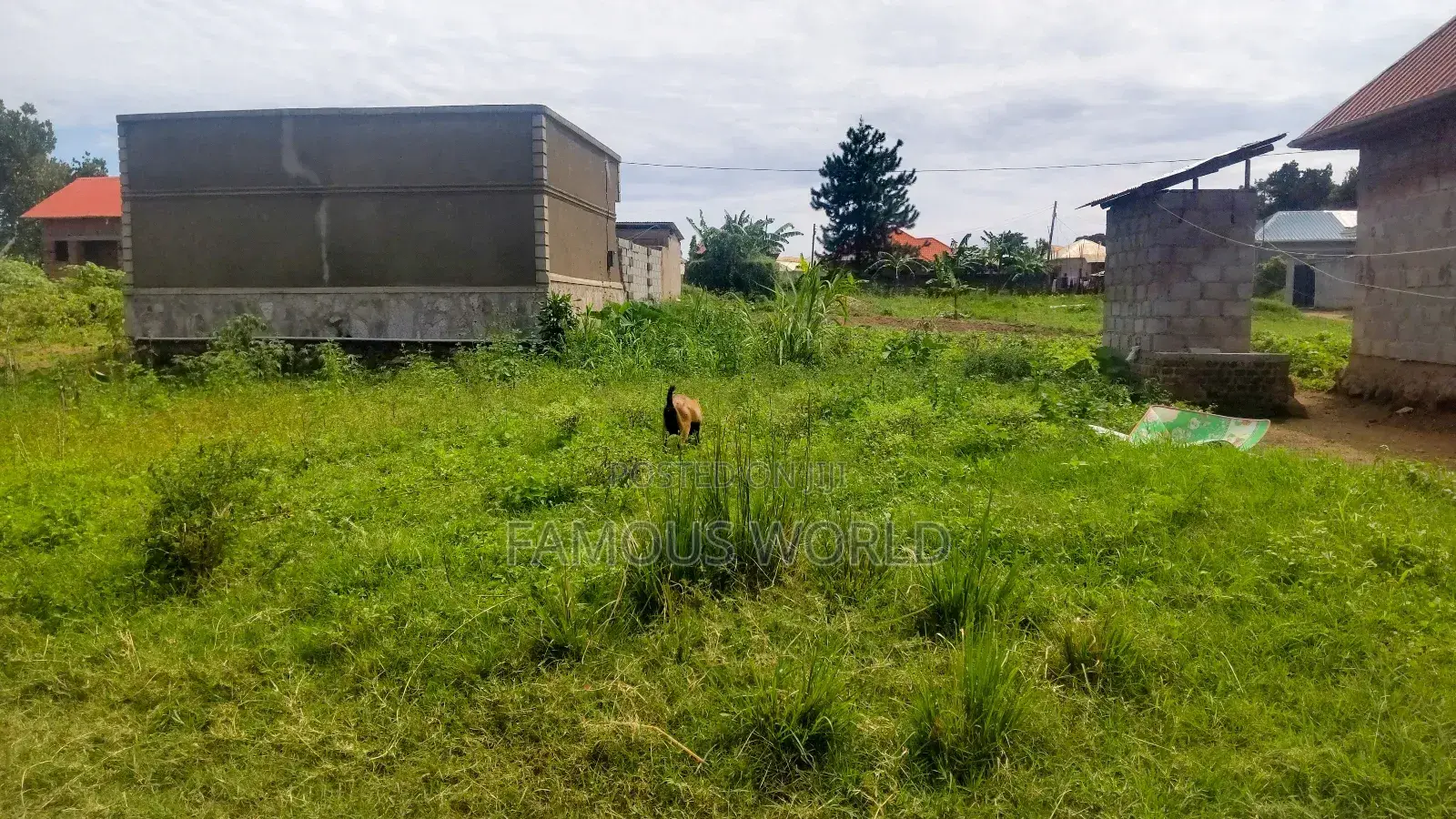 Entebbe Nkumba 50ft by 40ft Plot on Sale