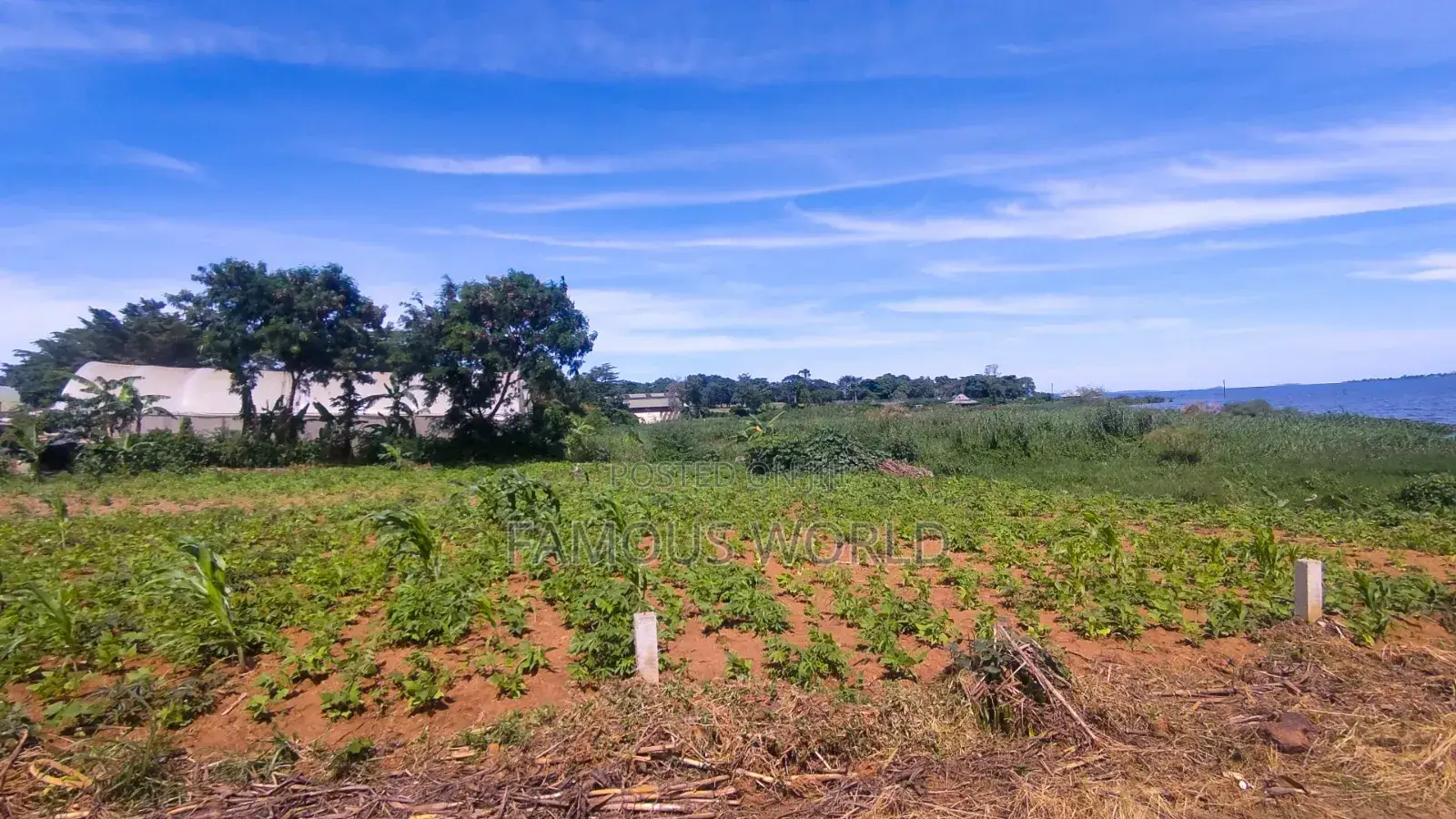 Victoria Lake Side Entebbe Kawuku Land on Sale