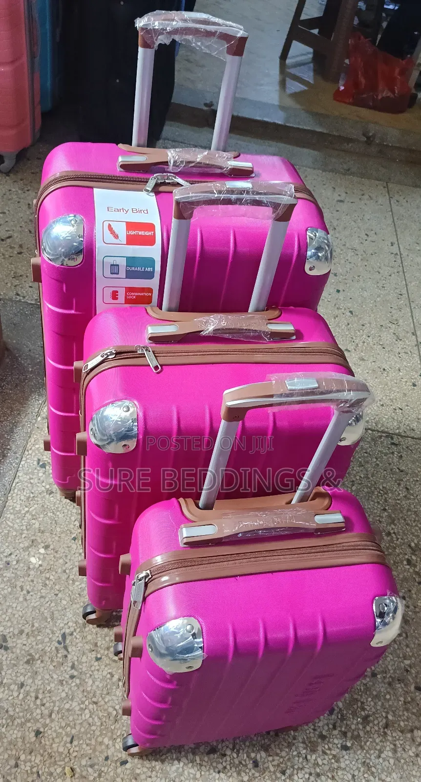 Early Bird Suitcase Set
