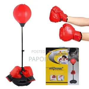 Kids Punching Ball Set