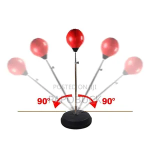 Kids Punching Ball Set