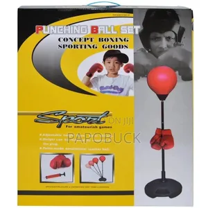 Kids Punching Ball Set