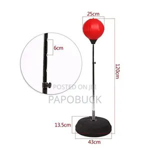 Kids Punching Ball Set