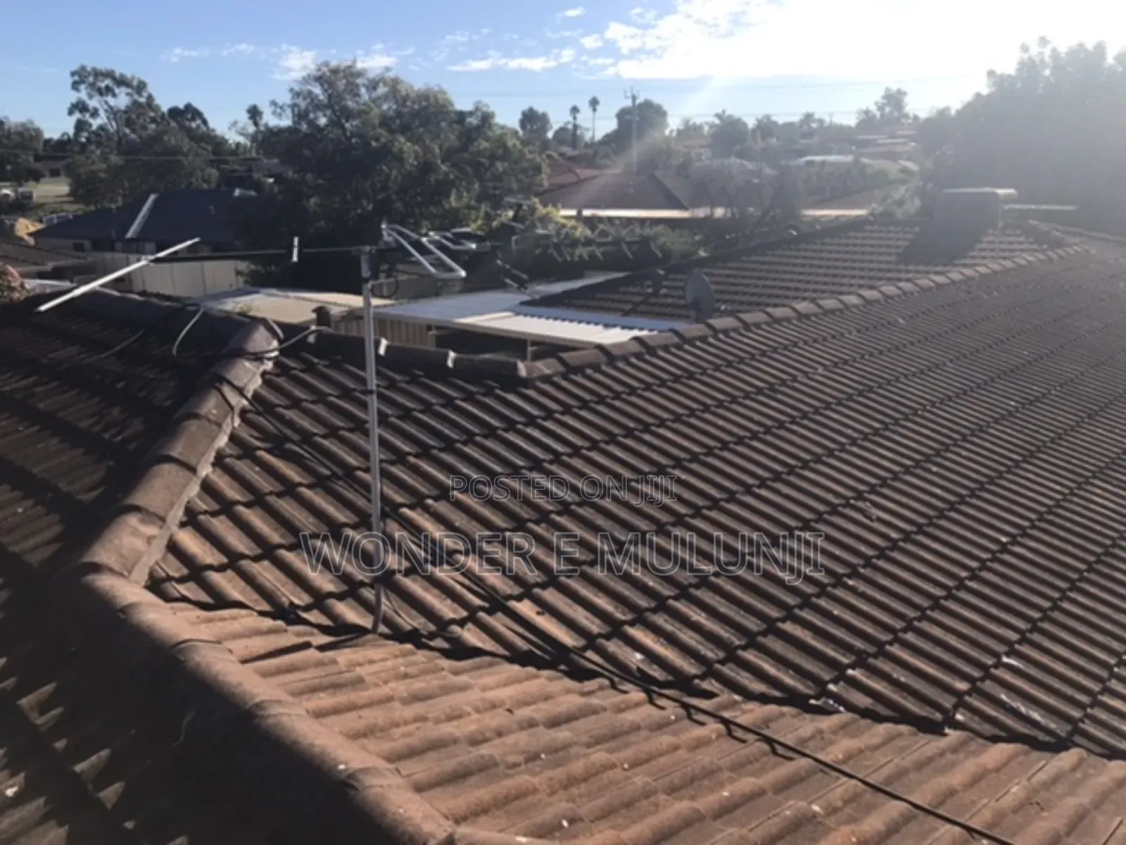 Roof Painting